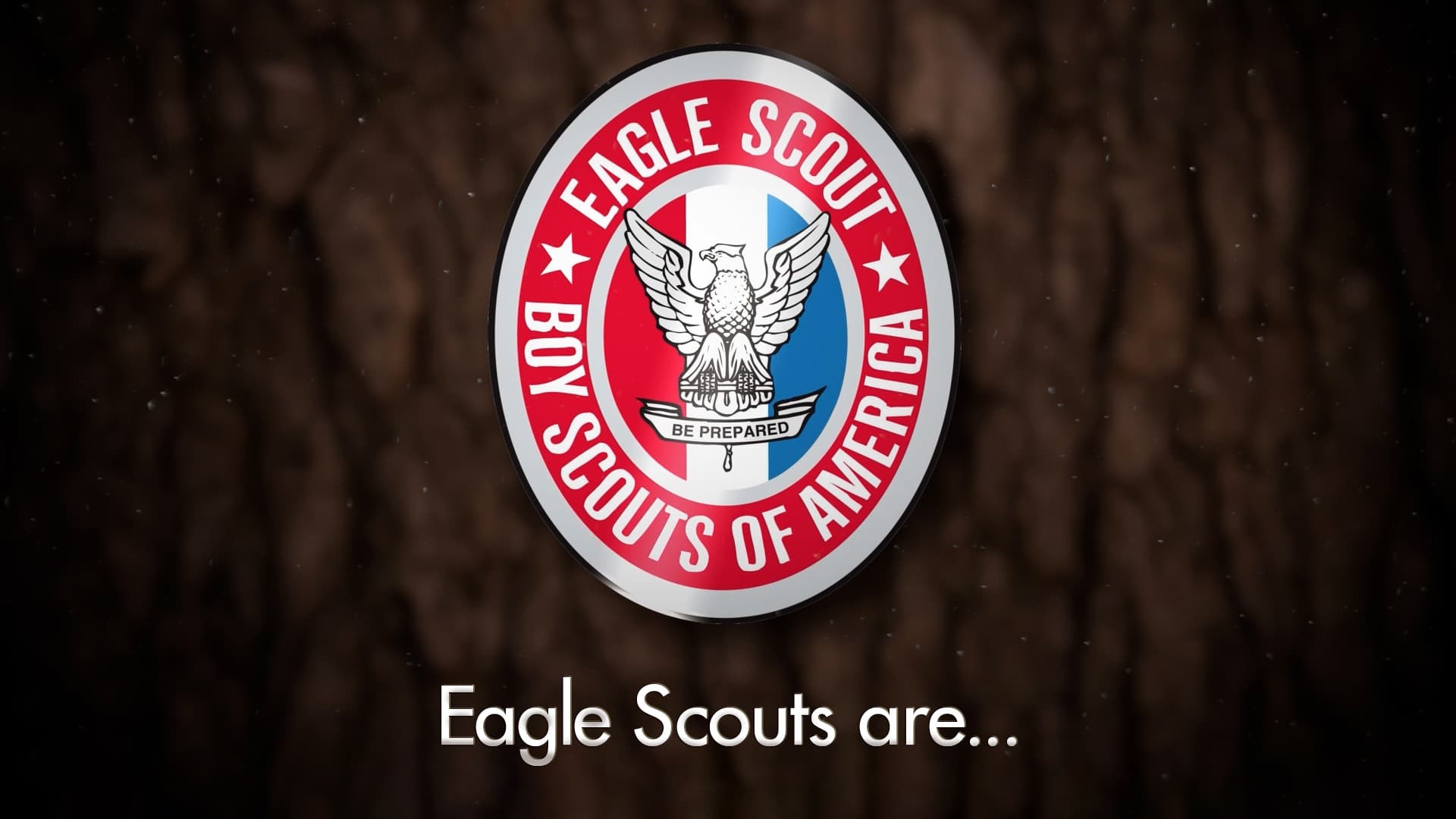 eagle scouts are